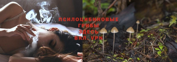 дживик Бугульма