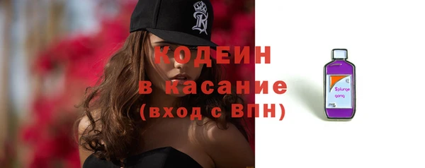 тгк Бородино