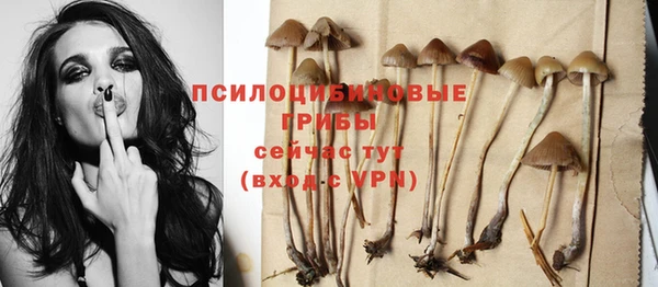 дживик Бугульма