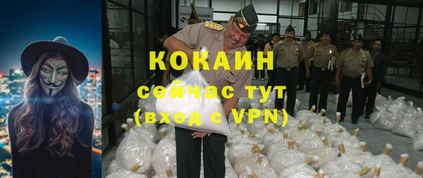 тгк Бородино