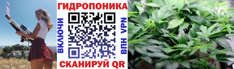Канабис OG Kush  Волчанск 